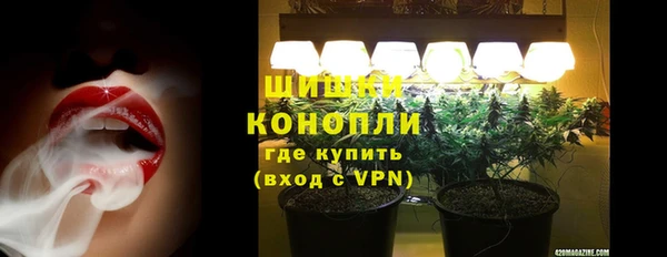 шишки Ростов