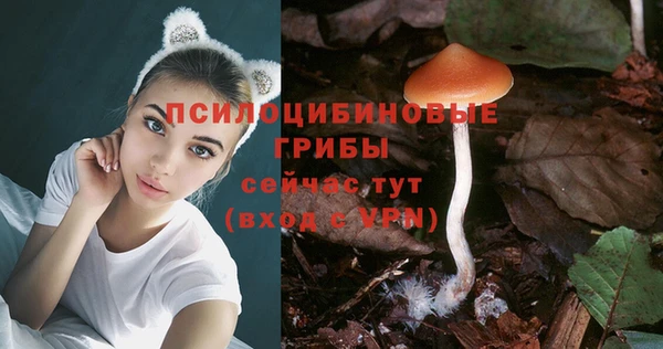 первитин Абаза