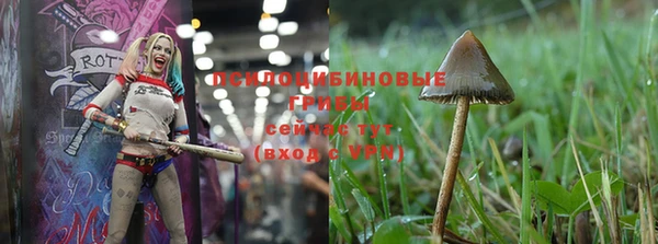 MESCALINE Алзамай