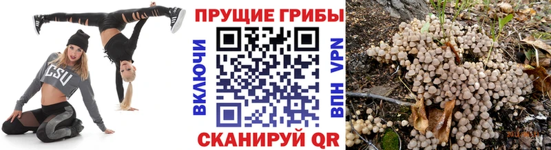 Псилоцибиновые грибы прущие грибы  Верхоянск 